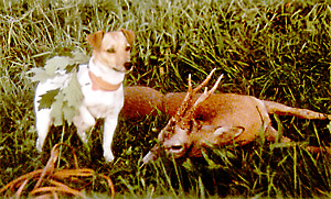 Jagd4