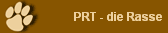 PRT - die Rasse