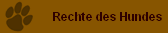 Rechte des Hundes